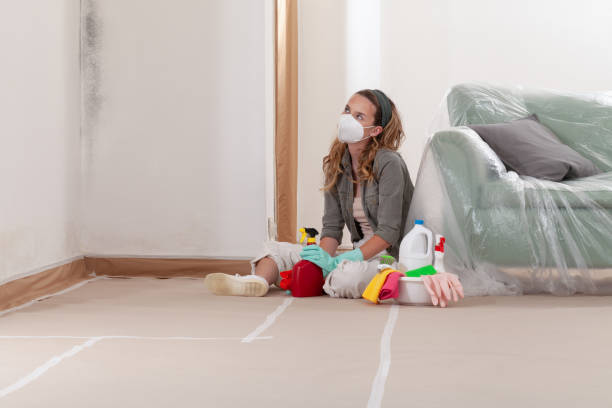 Reliable Commercial Mold Remediation contractor in Stone Park, IL by WQB Mold Removal